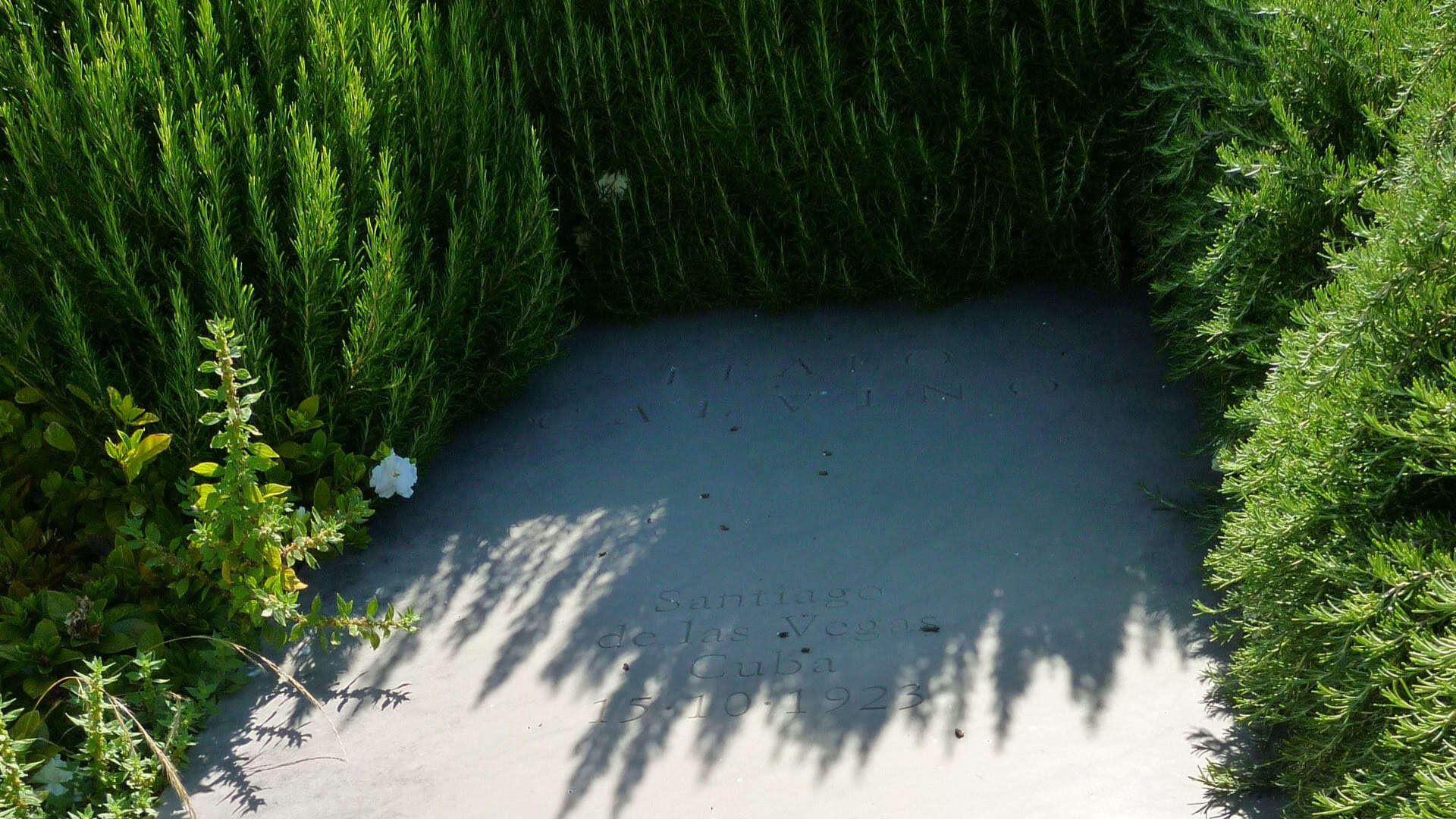 La tomba di Italo Calvino. Foto di Aldo Ardetti