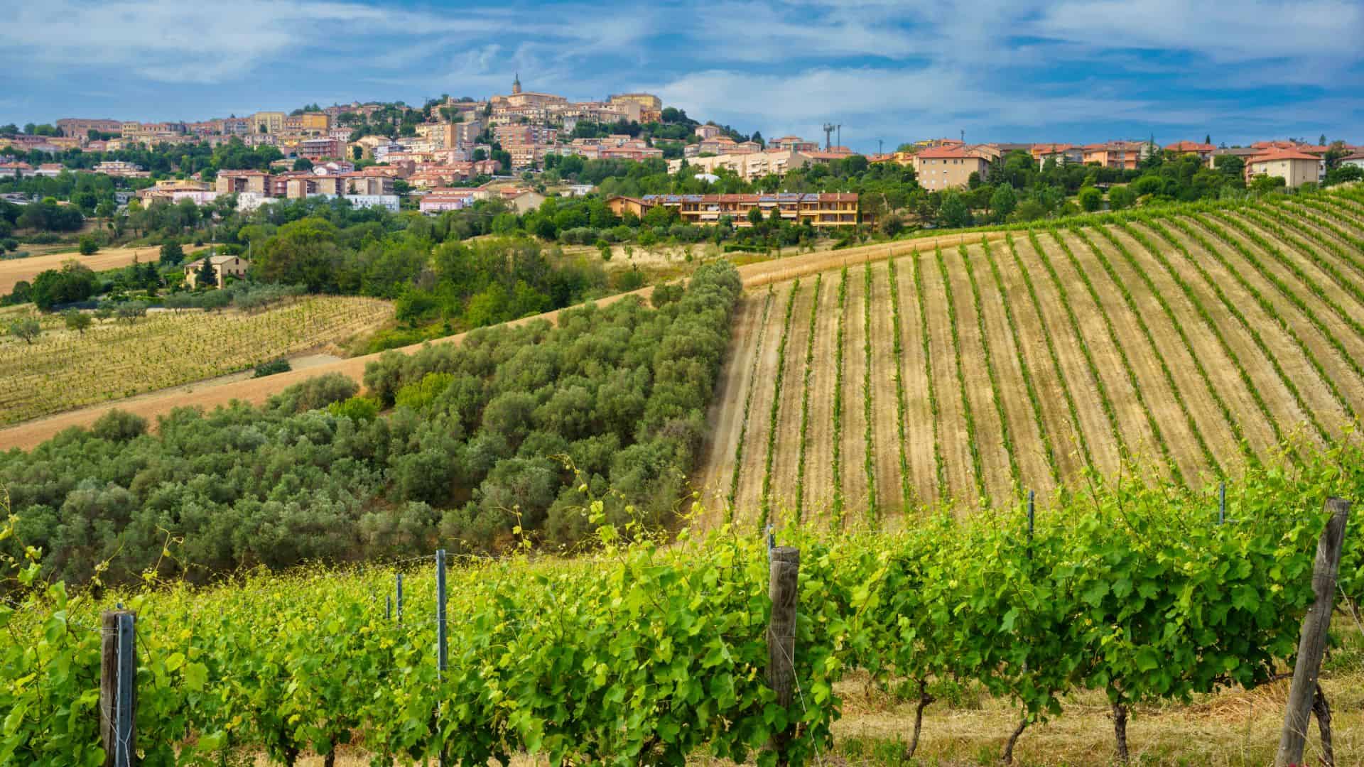 La cittadina di Camerano
