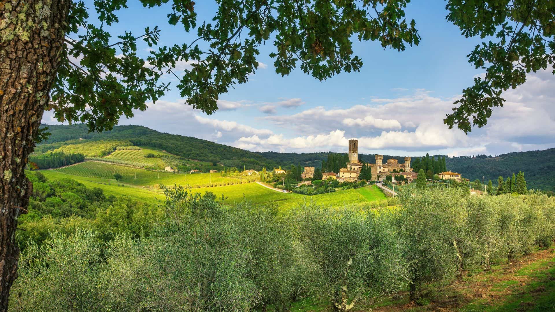 Vista panoramica su Badia a Passignano