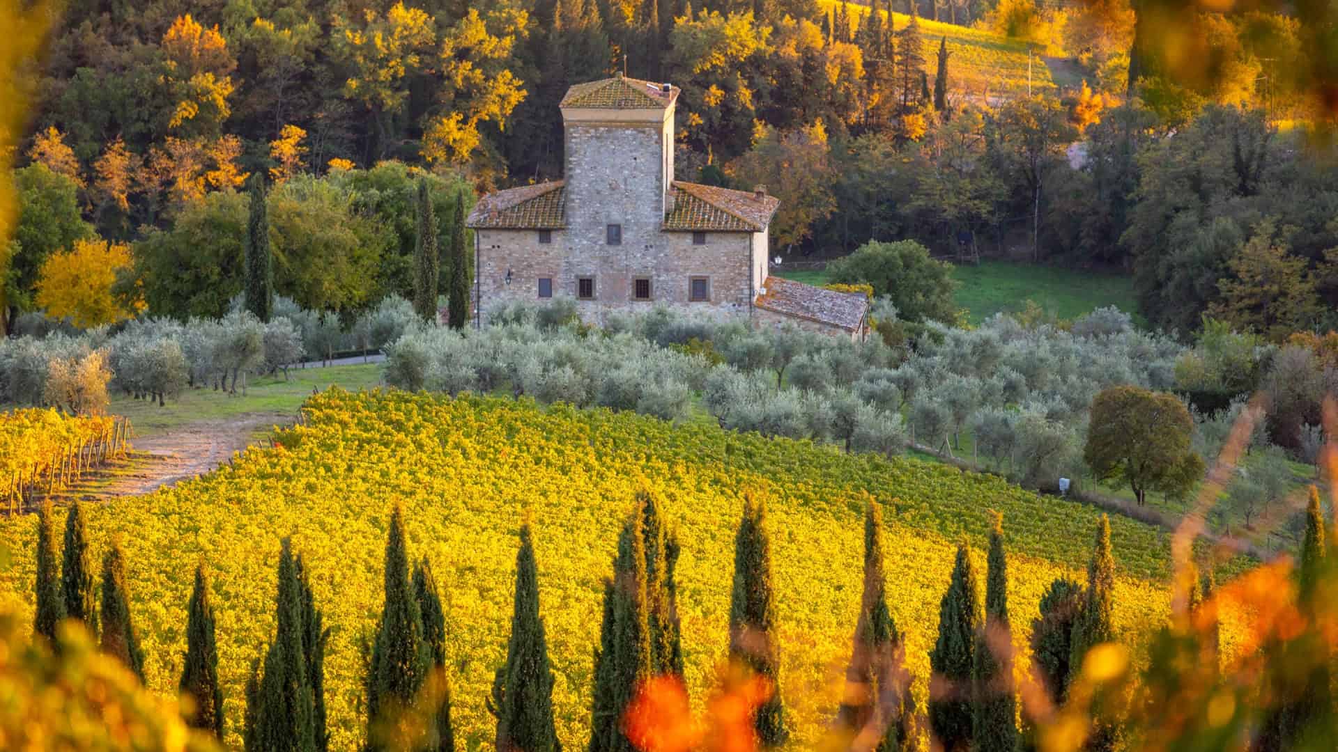 Una struttura immersa nel verde in Chianti