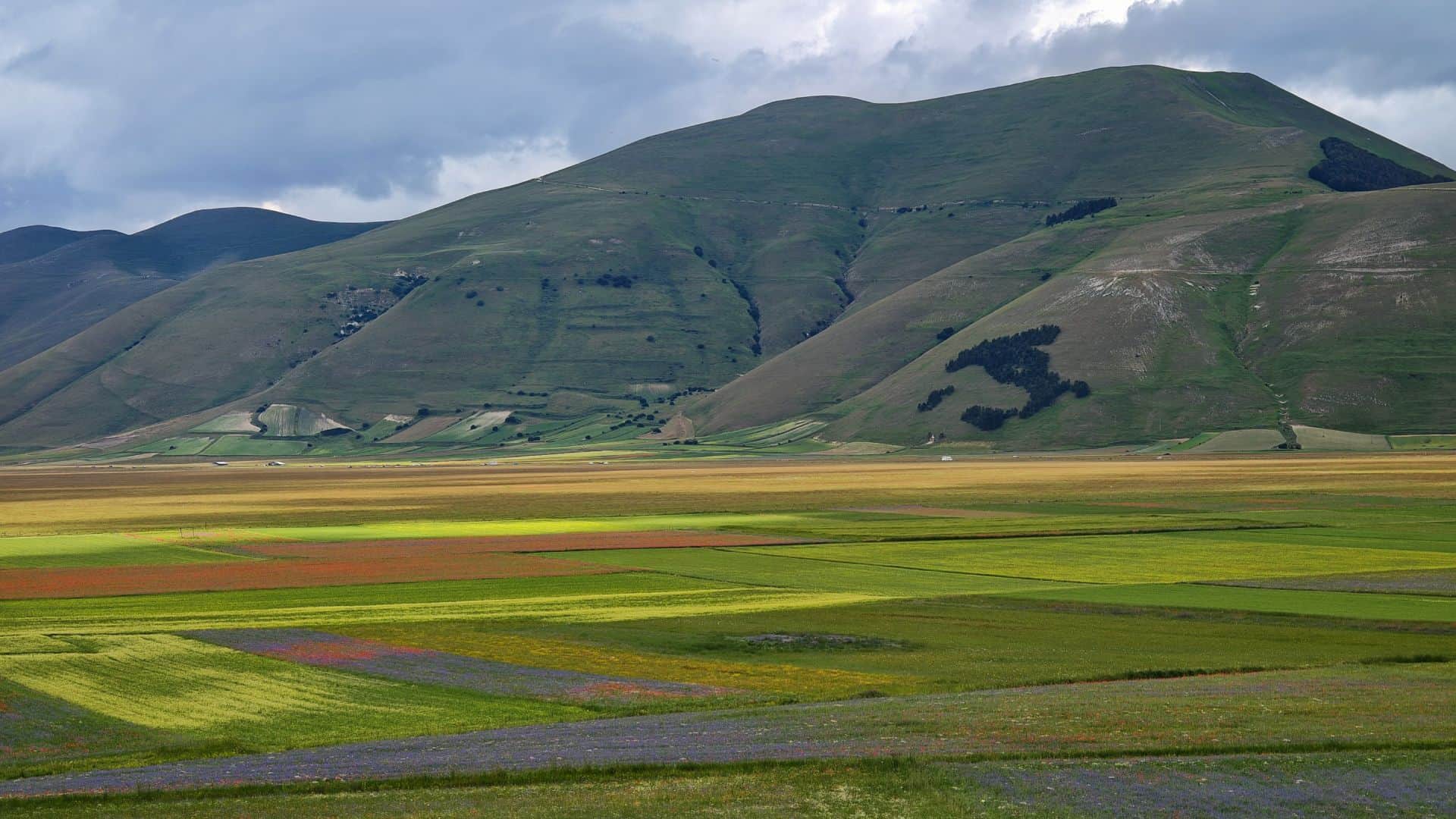 Paesaggio tipico di Castelluccio di Norcia
