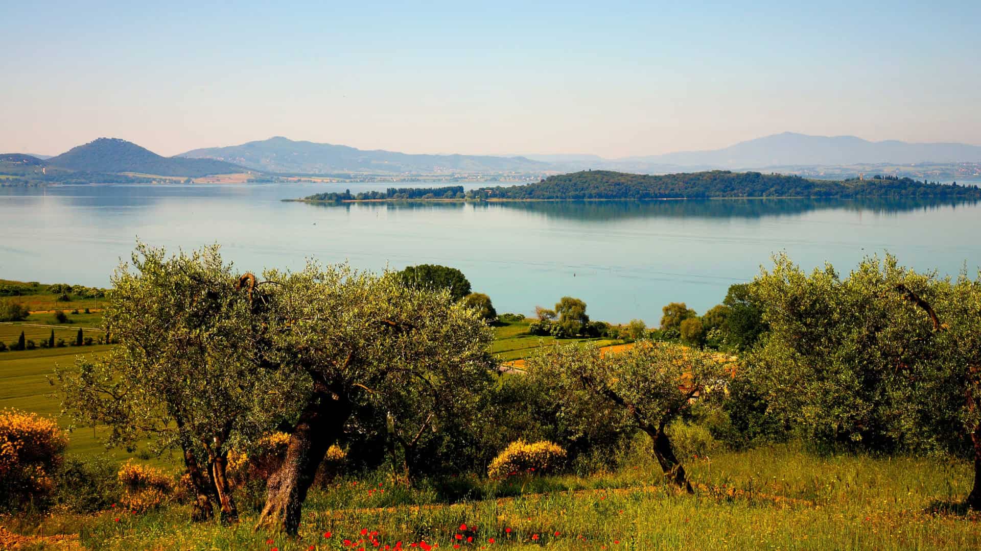 Ampia panoramica sul Lago Trasimeno
