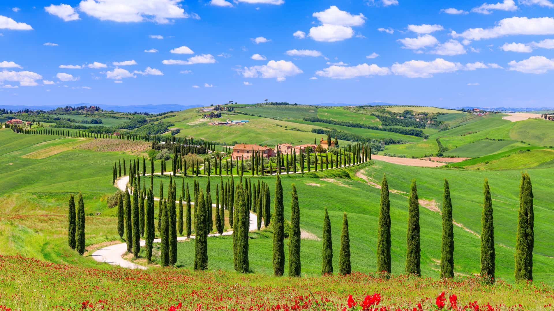 Paesaggio collinare tipico della Val D'Orcia