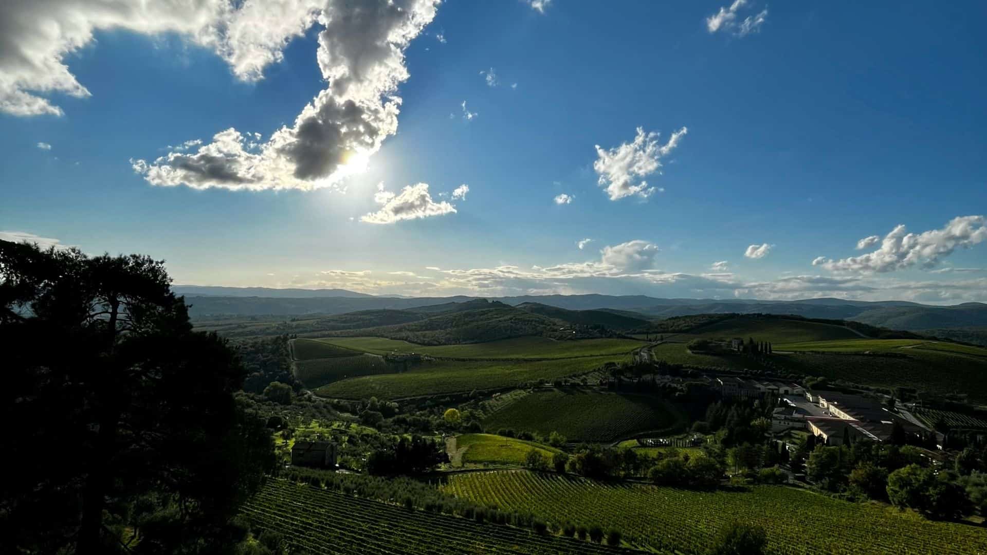 Paesaggio del Chianti. Foto di Matteoli Filippo