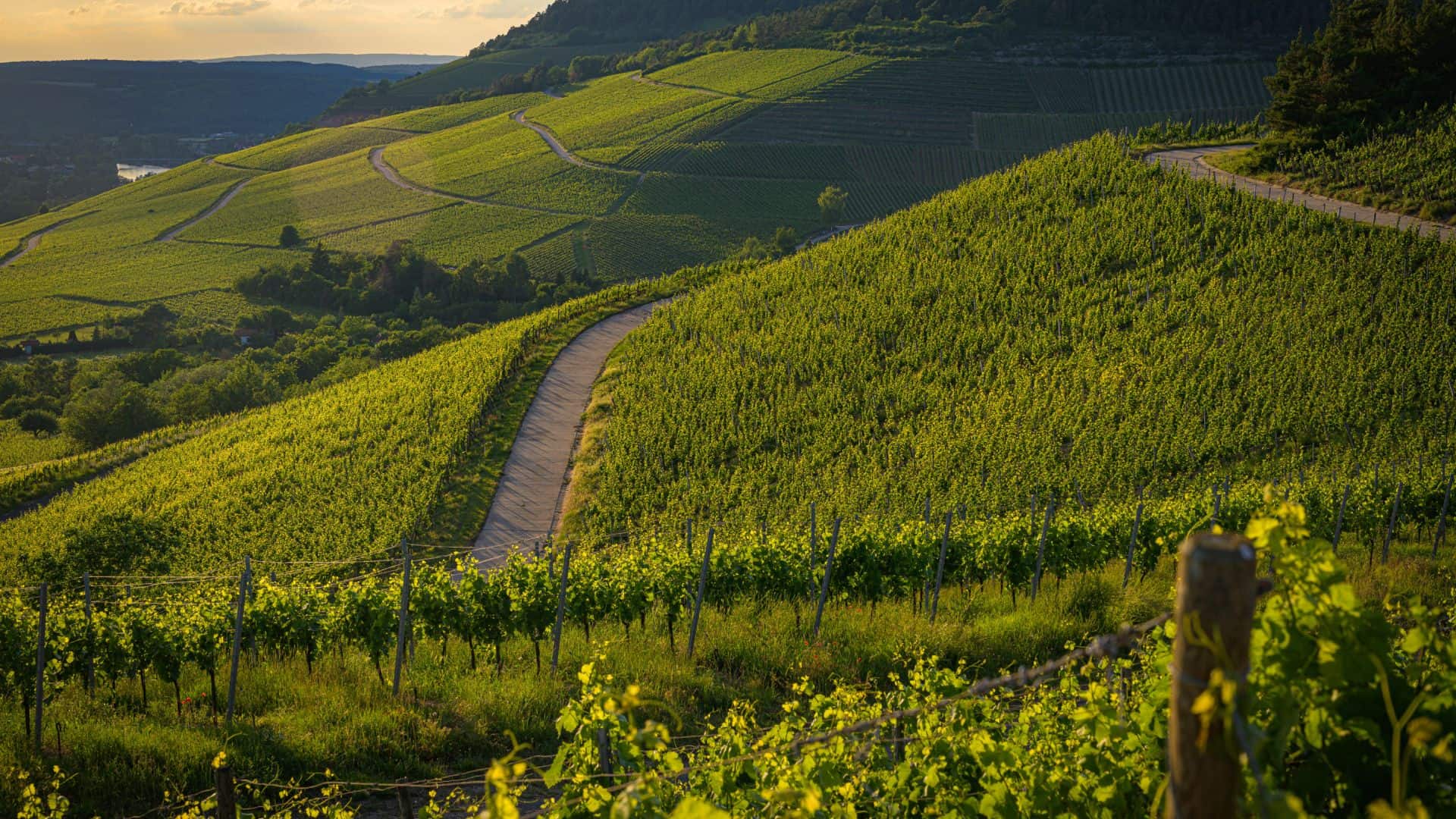 Paesaggio della Valtellina in Lombardia. Foto di Wirestock