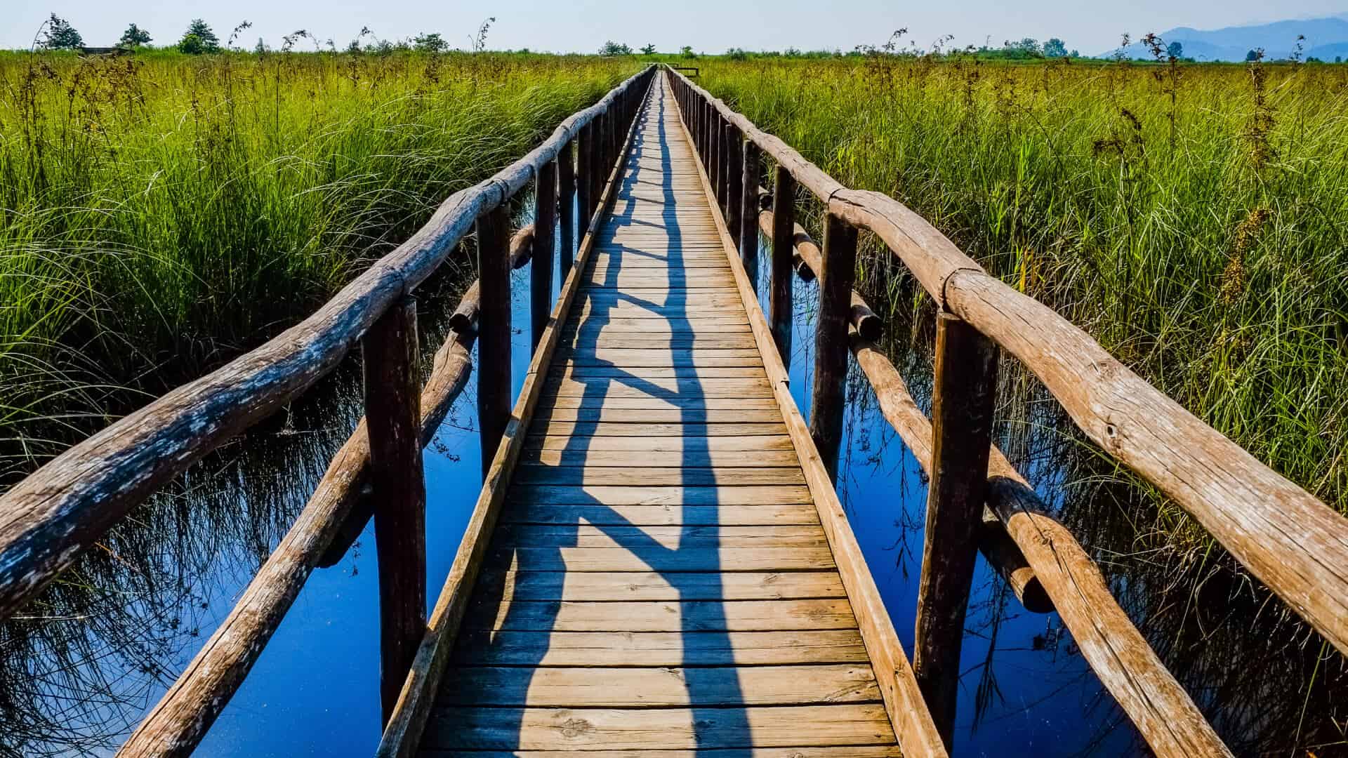 Brücke über den Massaciuccoli-See