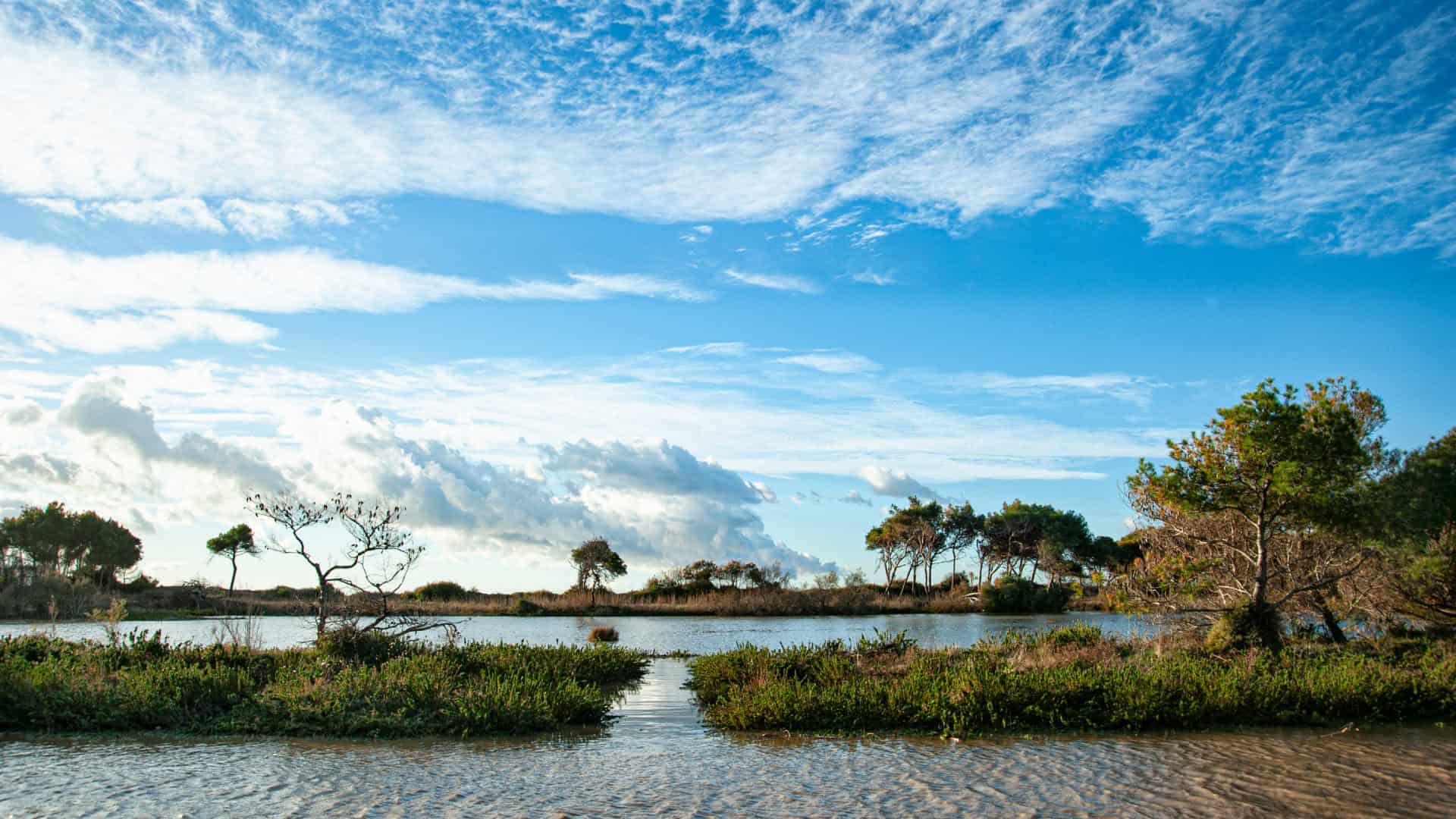 La spiaggia di Parco della Sterpaia a Piombino. Foto di Roberto Baroni Costaetrusca