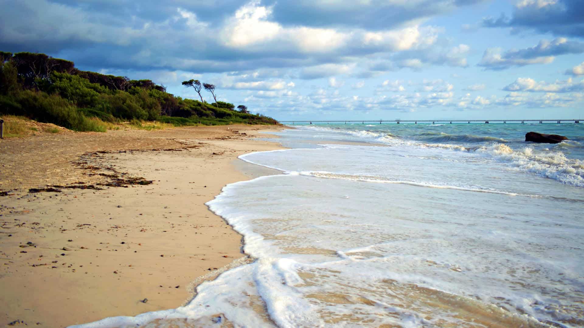 Il bagnasciuga delle Spiagge Bianche a Rosignano Solvay