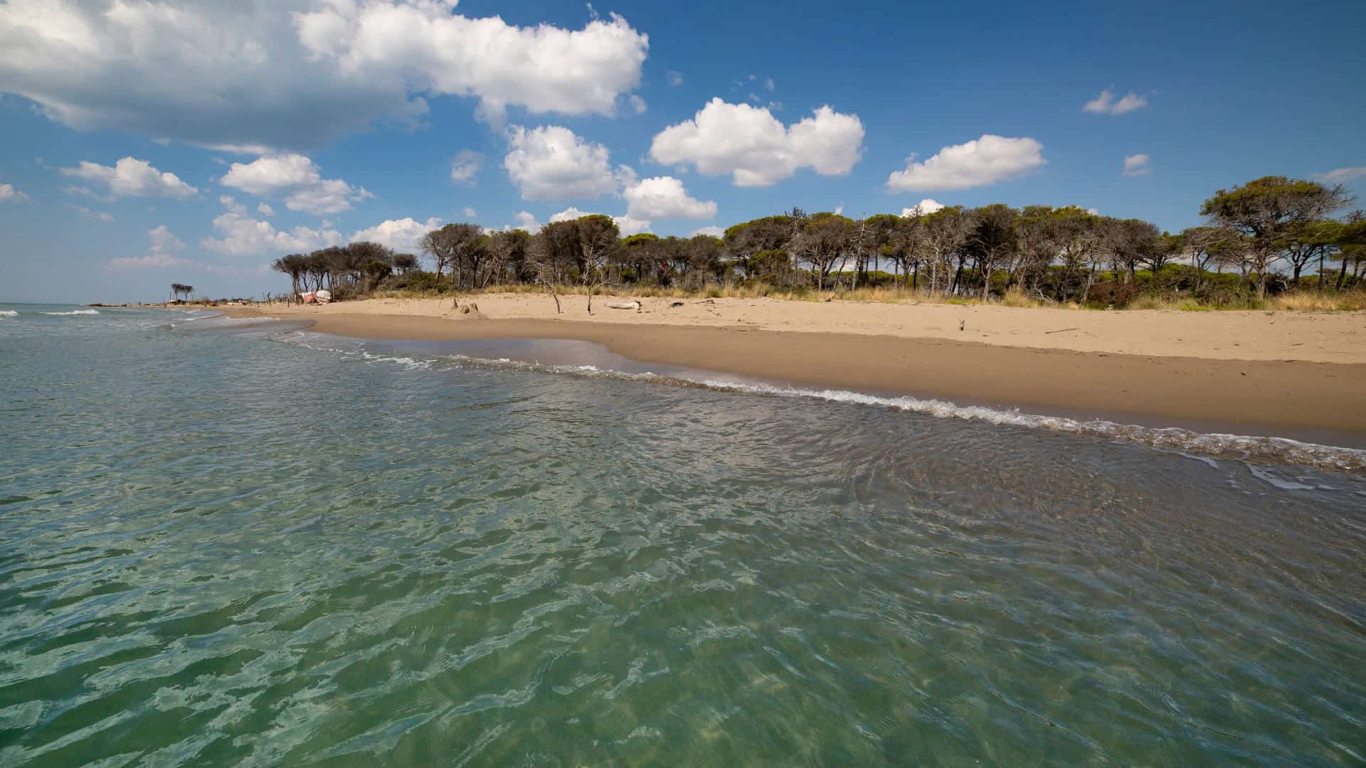 Il mare cristallino e la spiaggia di Marina di Alberese, nel Parco della Maremma