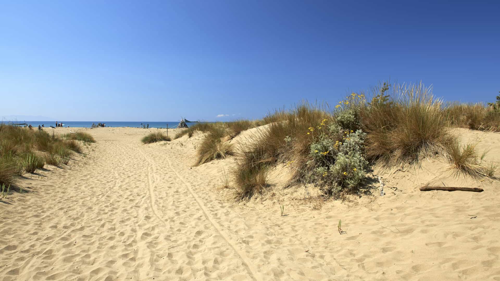 La spiaggia sabbiosa di Collelungo nel Parco della Maremma
